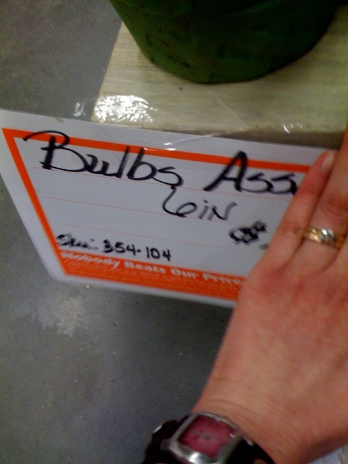 Bulbs Ass